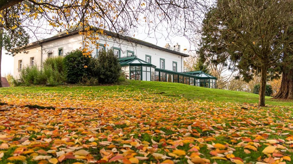 Logis - Hotel Restaurant La Sapiniere Wisques Exteriör bild