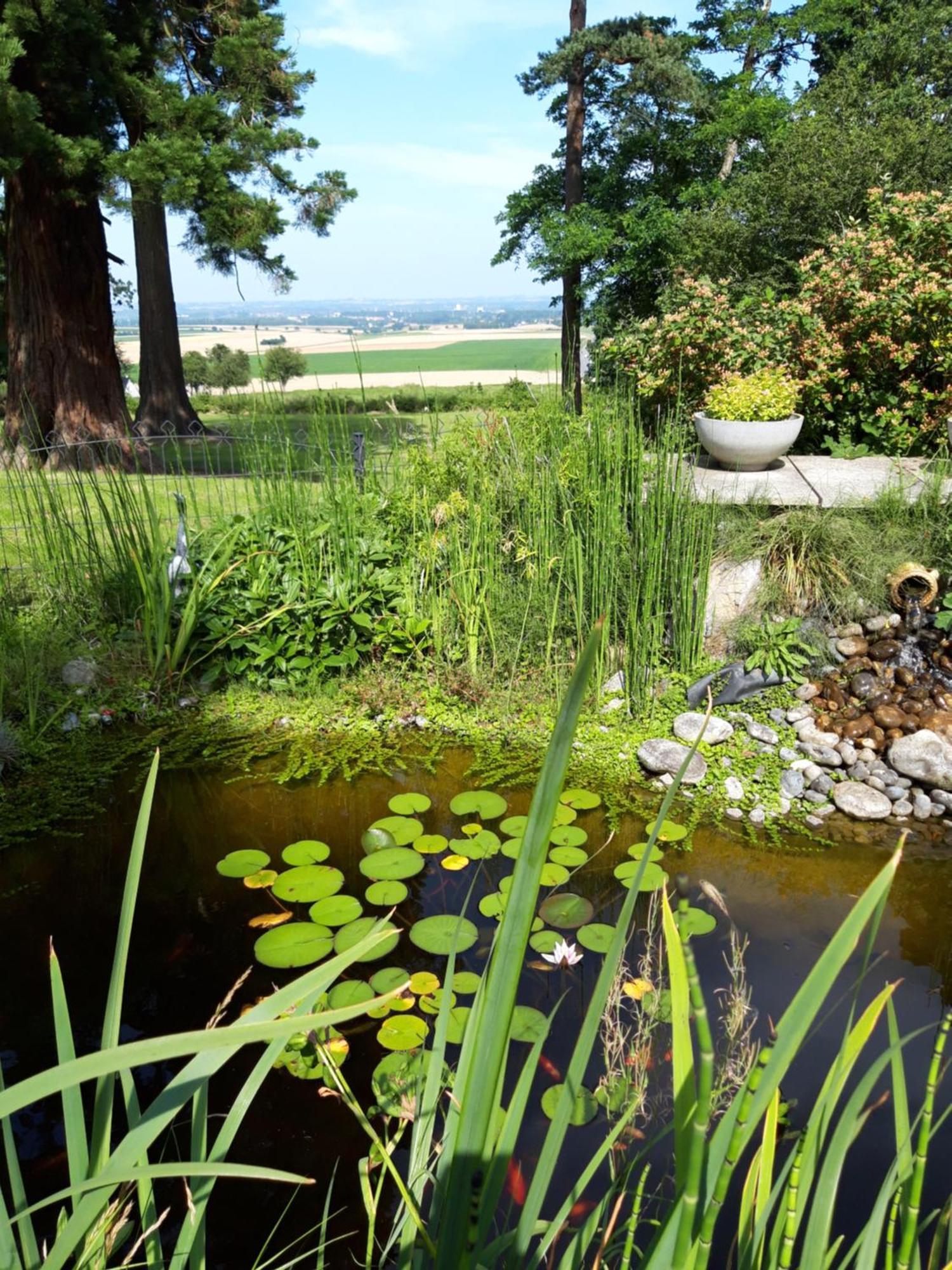Logis - Hotel Restaurant La Sapiniere Wisques Exteriör bild